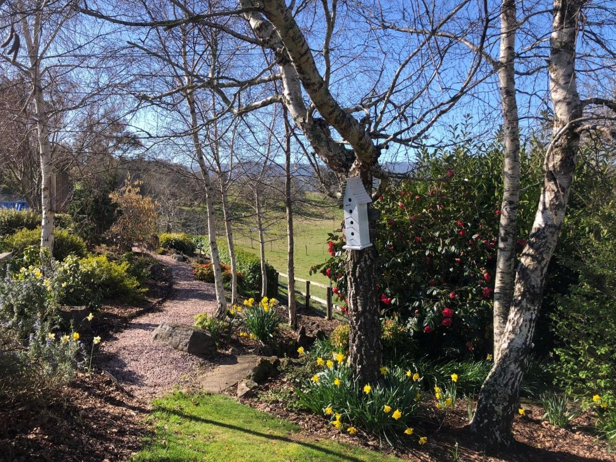 Hotel Mole Creek Hideaway Exterior foto