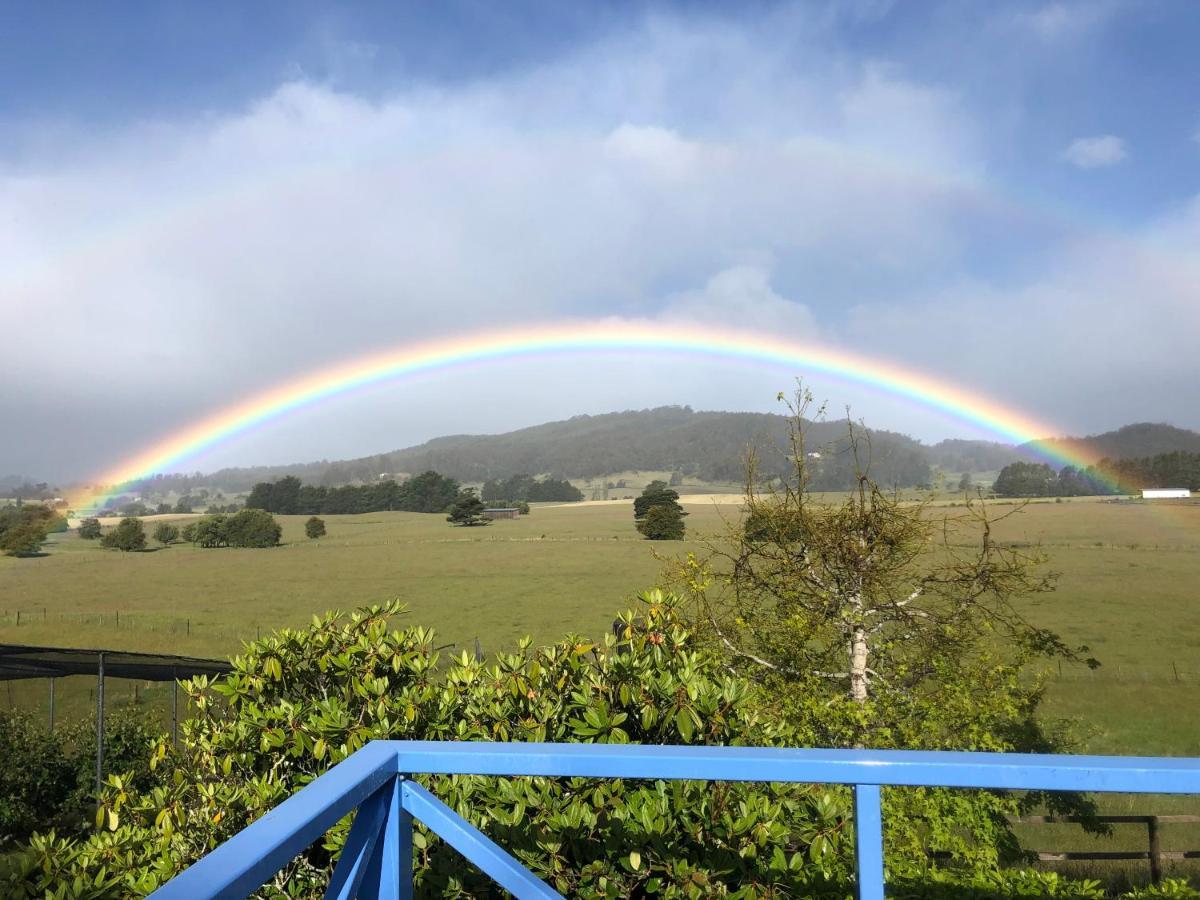 Hotel Mole Creek Hideaway Exterior foto