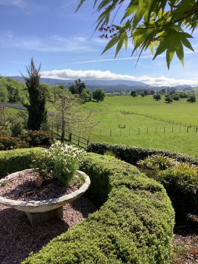 Hotel Mole Creek Hideaway Exterior foto