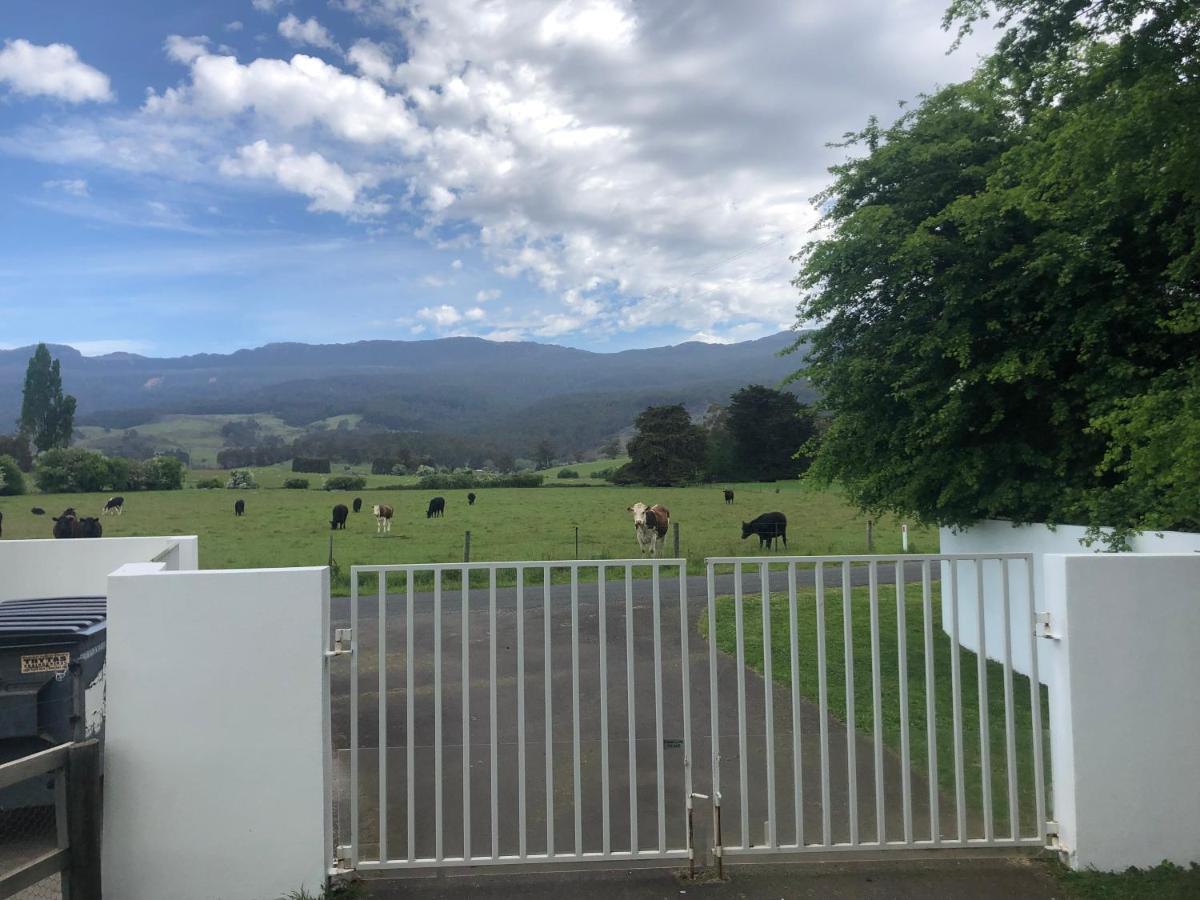 Hotel Mole Creek Hideaway Exterior foto